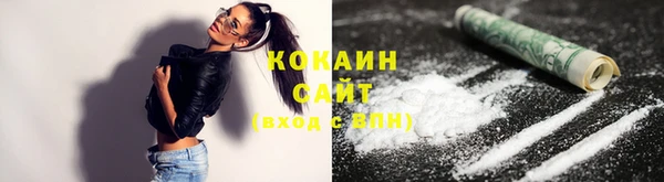 spice Аркадак