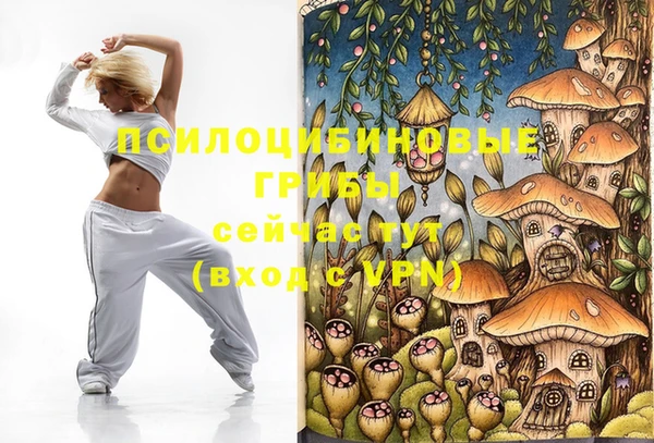 spice Аркадак
