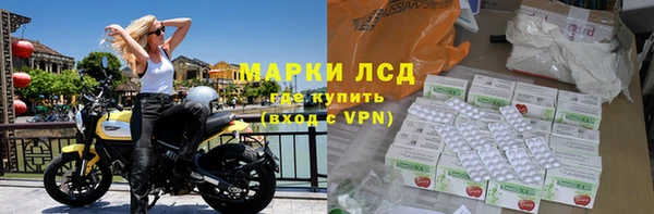 spice Аркадак