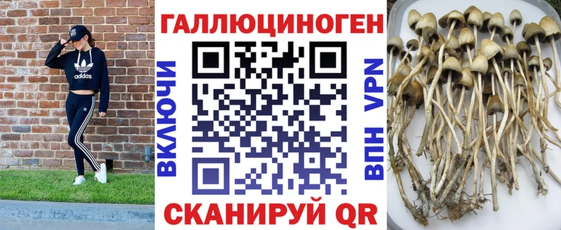 что такое наркотик Чаплыгин Галлюциногенные грибы мухоморы